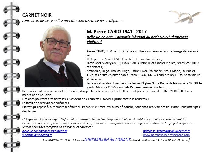 M. Pierre CARIO